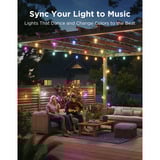 Govee Guirnaldas luminosas para exteriores con lámparas transparentes, Lichterkette 