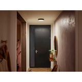 Philips Hue White Ambiance Enrave Lámpara de Techo S, Luz de LED negro