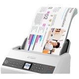 Epson WorkForce DS-730N, Escáner de alimentación de hojas gris, 215,9 x 6096 mm, 600 x 600 DPI, 30 bit, 24 bit, 10 bit, 8 bit