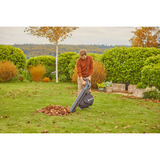 GARDENA 14895-20, Aspirador/soplador gris/Negro