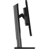 Lenovo ThinkVision P25i-30 pantalla para PC 62,2 cm (24.5") 1920 x 1080 Pixeles Full HD LED Negro, Monitor LED negro, 62,2 cm (24.5"), 1920 x 1080 Pixeles, Full HD, LED, 6 ms, Negro