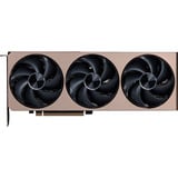 MSI V531-245R, Tarjeta gráfica 