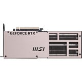 MSI V531-245R, Tarjeta gráfica 