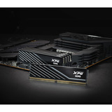 ADATA AX5U6000C3616G-SLABBK, Memoria RAM negro