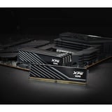 ADATA DIMM 16 GB DDR5-6000, Memoria RAM negro