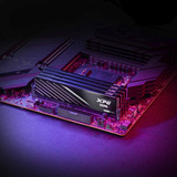 ADATA DIMM 16 GB DDR5-6000, Memoria RAM negro