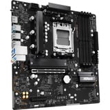 ASRock A620AM PRO-A, Placa base 