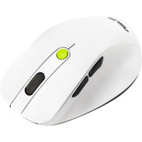 ASUS MD105, Ratón blanco/Verde