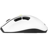 ASUS MD105, Ratón blanco/Verde