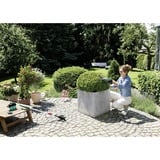 Bosch Easy Shear tijera de césped inalámbrica 8 cm 3,6 V Ión de litio Negro, Verde, Tijeras arreglasetos verde/Negro, 8 cm, 8 cm, Negro, Verde, 2,5 m/s², Ión de litio, 3,6 V