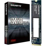 GIGABYTE G3NVMEV2256G, Unidad de estado sólido 