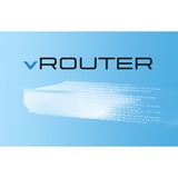 LANCOM vRouter 1000 3Y 3 año(s), Licencia 3 año(s)