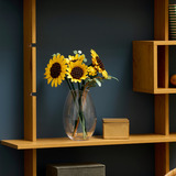 LEGO Botánicos Girasoles, Juegos de construcción Minorista