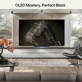 LG OLED65C6ELB.AEUD, OLED-TV negro