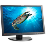 Lenovo ThinkVision LT2452P Reacondicionado, Monitor LED negro