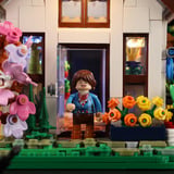 Lumibricks Invernadero doméstico, Juegos de construcción 