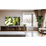 TCL 50MQLED75K Mini LED, TV QLED negro