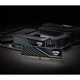 ADATA DIMM 32 GB DDR5-6000 (2x 16 GB) Dual-Kit, Memoria RAM negro