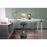 Digitus DA-90422, Silla negro