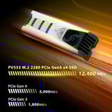 Patriot Viper PV553 2TB, Unidad de estado sólido negro/blanco