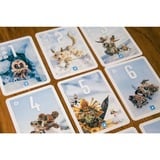 Pegasus Pixies, Juegos de cartas 