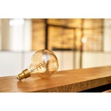 Shelly 3800235262108, Lámpara LED 