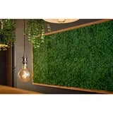 Shelly Vintage G125, Lámpara LED 