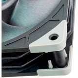 SilverStone SST-FHL140, Ventilador negro
