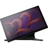 Wacom Cintiq Pro 22 con soporte, Tableta gráfica negro