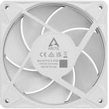 ARCTIC BioniX P12 A-RGB, Ventilador blanco/blanco