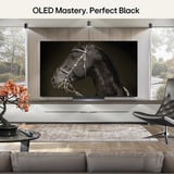 LG OLED48C6ELB.AEUD, OLED-TV negro