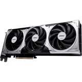 MSI V812-072R, Tarjeta gráfica 