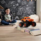 Spin Master 6072060, Radiocontrol 