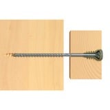 fischer Tornillo de ajuste FAFS 5,0 x 100 TX25 