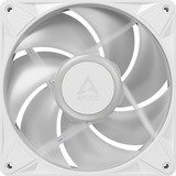 ARCTIC BioniX P14 A-RGB, Ventilador blanco/blanco