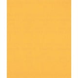 Bosch Expert C470 hoja de lija, 230 x 280mm, K220 