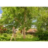 GARDENA Tijeras para árboles y cortasetos StarCut Pro S, Tijeras de podar gris/Naranja