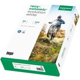 Inapa Recyconomic Evolution blanco A3, Papel 
