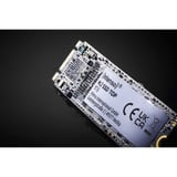 Intenso Top M.2 256 GB Serial ATA III, Unidad de estado sólido 256 GB, M.2, 520 MB/s, 6 Gbit/s