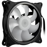 Inter-Tech Argus RS-081 RGB Carcasa del ordenador Ventilador 12 cm Negro, Blanco negro, Ventilador, 12 cm, 1200 RPM, 30 dB, Negro, Blanco