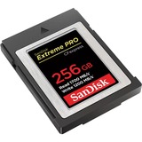 SanDisk Tarjeta de memoria