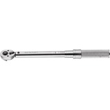Birzman TORQUE WRENCH 10-60 Nm, Llave de torsión plateado