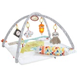 Fisher-Price GKD45 gimnasio para bebé y tapete de juego Multicolor Gimnasio para bebés, Gimnasio de actividades/Alfombra Gimnasio para bebés, Barra de juguetes, Sonoro, Multicolor