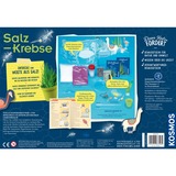 KOSMOS 63326 juguete y kit de ciencia para niños, Caja de experimentos Acuario, Biología, 8 año(s), Multicolor
