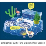 KOSMOS 63326 juguete y kit de ciencia para niños, Caja de experimentos Acuario, Biología, 8 año(s), Multicolor