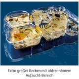 KOSMOS Kit per esperimenti Triops-Welt 633073 da 8 anni, Caja de experimentos 