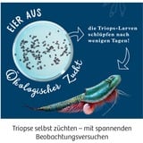 KOSMOS Kit per esperimenti Triops-Welt 633073 da 8 anni, Caja de experimentos 