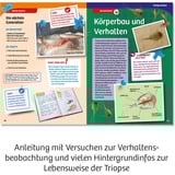 KOSMOS Kit per esperimenti Triops-Welt 633073 da 8 anni, Caja de experimentos 