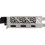 ASRock 90-GA5TZZ-00UANF, Tarjeta gráfica 