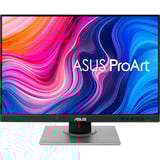 ASUS ProArt Display PA248QV Gen2 (PA248QFV), Monitor LED negro/Plateado